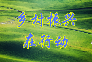 乡村振兴